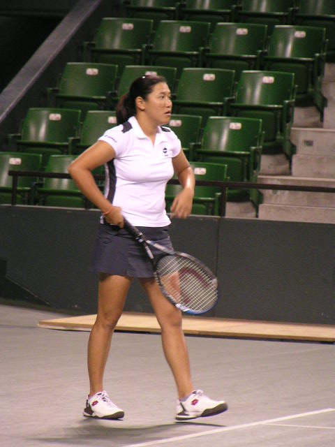 ($BE:IU(B1) 20030426003519.1.JPG